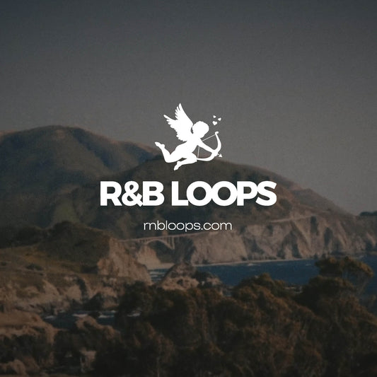 Drake RnB Loop Kit Vol 1 Artwork